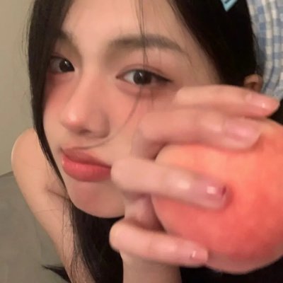 休战协定